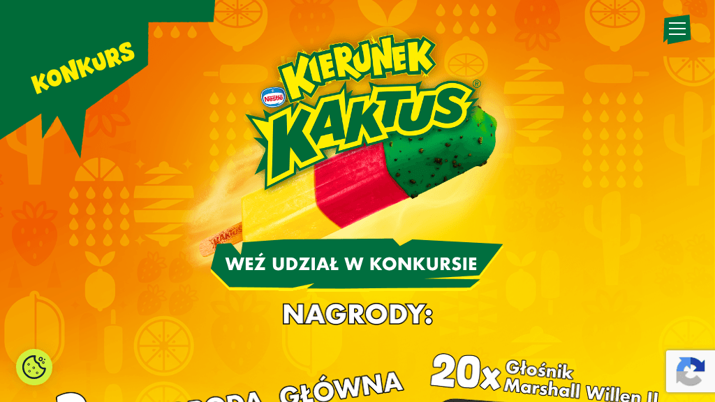 Plakat promocyjny loterii Kup dwa lody Kaktus w Lidlu i opisz szalony pomysł. – szczegóły i nagrody w Lidl