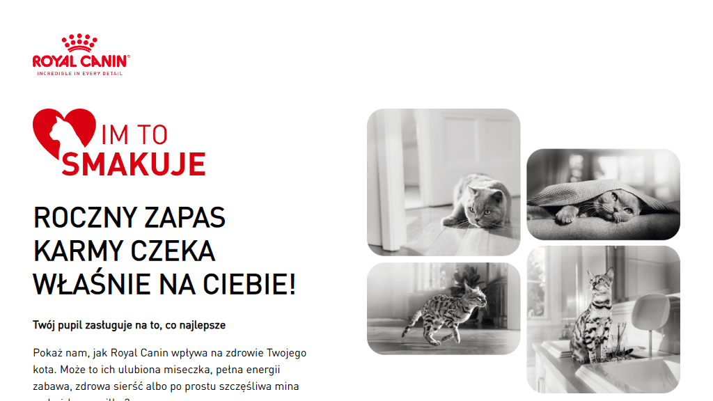 Plakat promocyjny loterii Kup karmę Royal Canin, stwórz kreatywną odpowiedź i wygraj zapas karmy. – szczegóły i nagrody w Dowolny Sklep